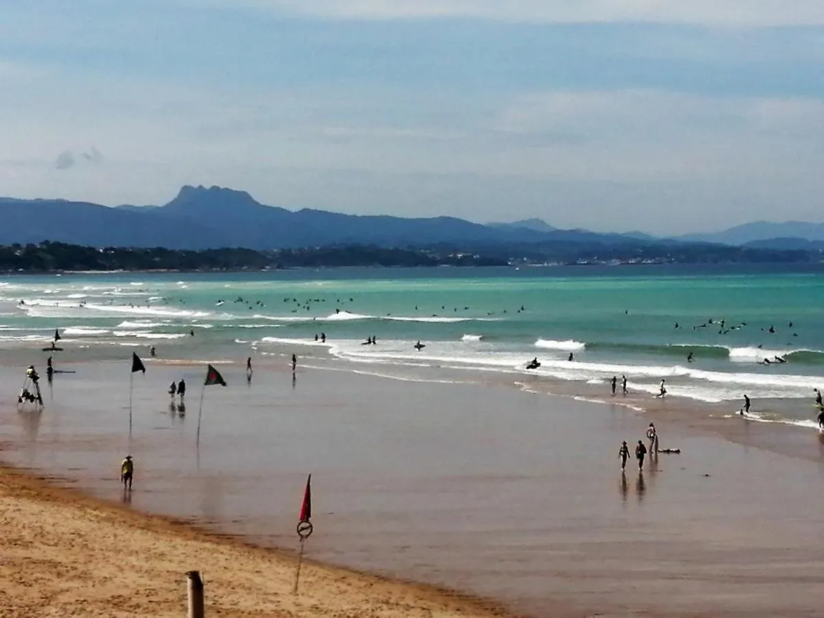 Apartamento Studio A Guethary A 150 M De La Plage Avec Jardin Clos