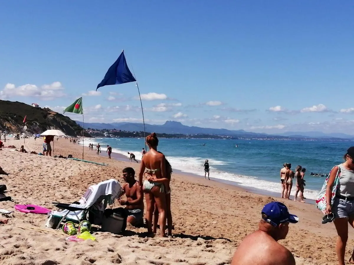 Apartamento Studio A Guethary A 150 M De La Plage Avec Jardin Clos